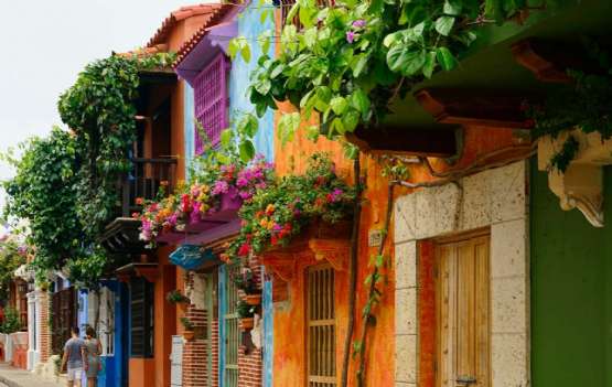 Viva Bogotá, Cartagena
